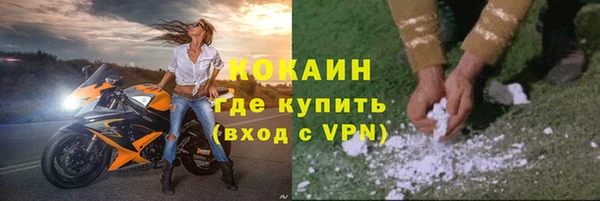 бошки Ельня