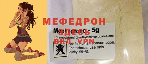 индика Елабуга