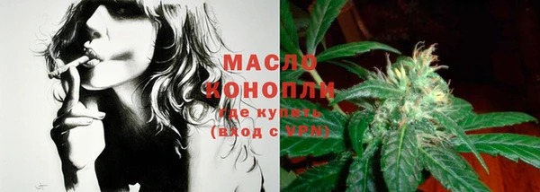 индика Елабуга
