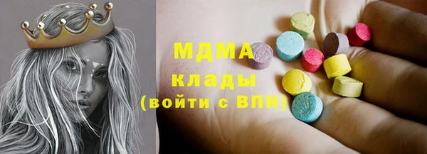 индика Елабуга