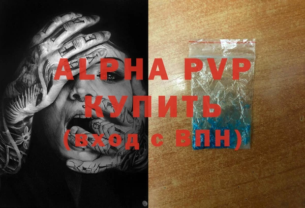 индика Елабуга