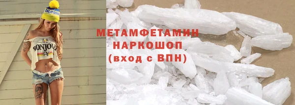 индика Елабуга