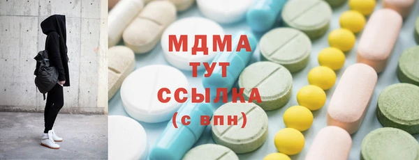индика Елабуга