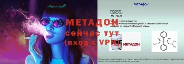 индика Елабуга