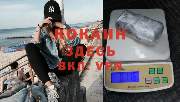 бошки Ельня