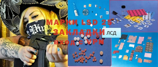 бошки Ельня