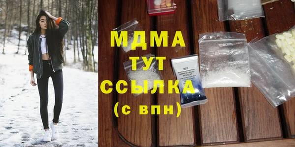 индика Елабуга