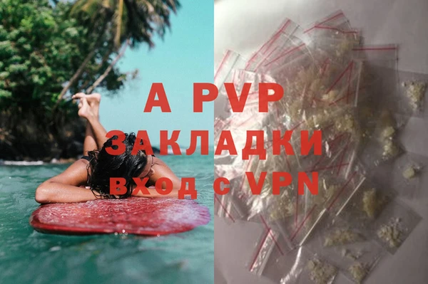 бошки Ельня