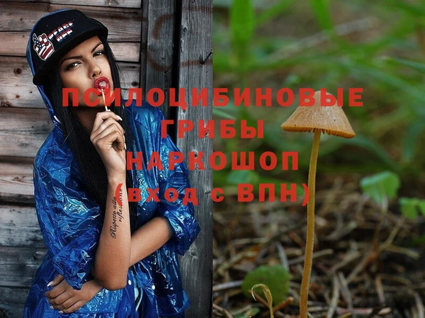 индика Елабуга