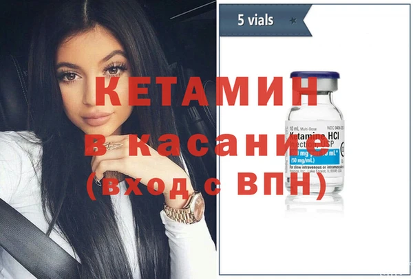 индика Елабуга