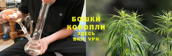 индика Елабуга